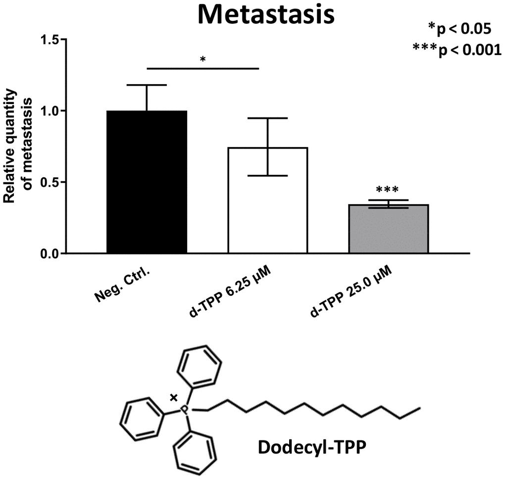 Effects of Dodecyl-TPP on cancer metastasis. Dodecyl-TPP was tested using low micro-molar concentrations (6.25- and 25-μM). Note that Dodecyl-TPP significantly inhibited metastasis (by 25% to 65%). Averages are shown + SEM. *pTable 3). The structure of Dodecyl-TPP (d-TPP) is also shown.