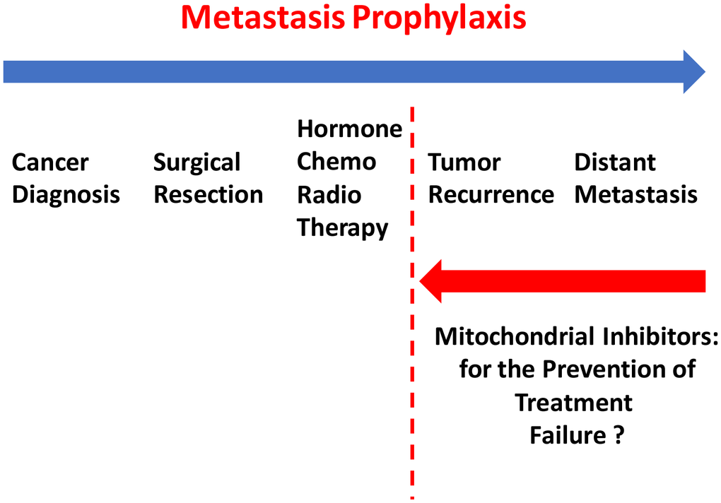 Metastasis prophylaxis: clinical implications of mitochondrial inhibitors for the prevention of treatment failure and cancer metastasis. Based on our current results, that mitochondrial inhibitors can selectively prevent metastasis, we suggest that these findings could be applied clinically to help prevent treatment failure in breast cancer patients.