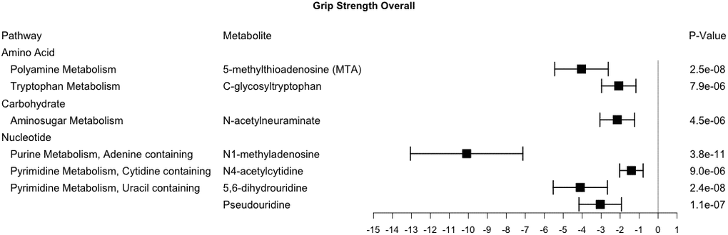 Metabolites significantly associated with grip strength. This forest plot depicts the beta estimate and 95% confidence interval for significant metabolites from both sex- and race-stratified analyses.