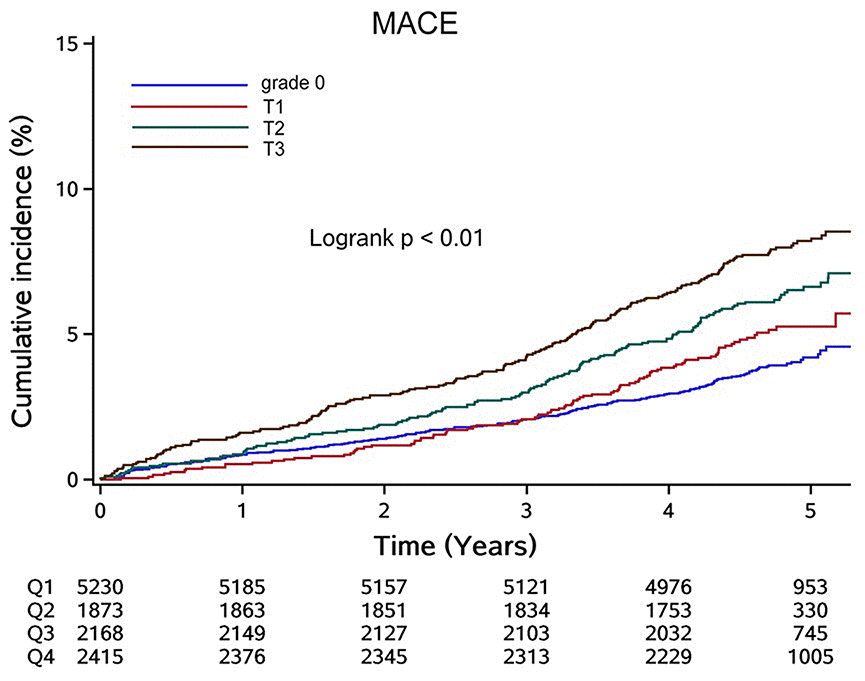 Cumulative incidence of MACE in participants with cumLDL-c=0 stratified by cumhs-CRP level. Abbreviation: MACE: major adverse cardiac events; cumLDL-c, cumulative burden of low density lipoprotein cholesterol; cumhs-CRP, cumulative burden of high sensitivity C-reactive protein.