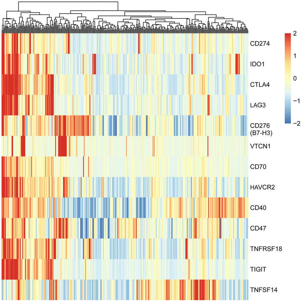 Heatmap of adaptive immune resistance genes in HCC patients of TCGA-LIHC cohort. The data were downloaded from TCGA-LIHC dataset and analyzed with clustering method. All HCC patients (374 cases) were clustered into two groups: one (73 cases) was characterized by high-expression of nearly all adaptive immune resistance genes, and the other (301 cases) by low-expression of the genes. Red bar represents gene high expression, and green represents gene low expression. Each column indicates one sample.