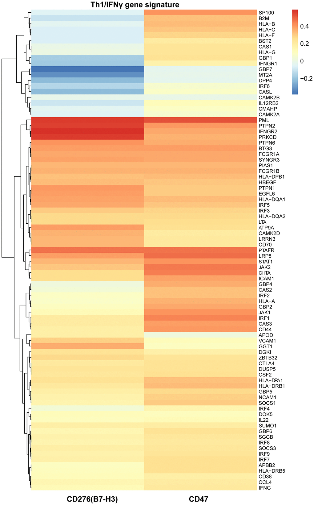 The relationships of B7-H3 and CD47 with Th1/IFNγ gene signature in TCGA-LIHC cohort. Heat map shows the correlations of each gene expression of Th1/IFNγ gene signature with B7-H3 and CD47 expression, which were computed based on 345 HCC cases. Red color indicates positive Pearson correlation coefficients; blue color indicates negative correlations.