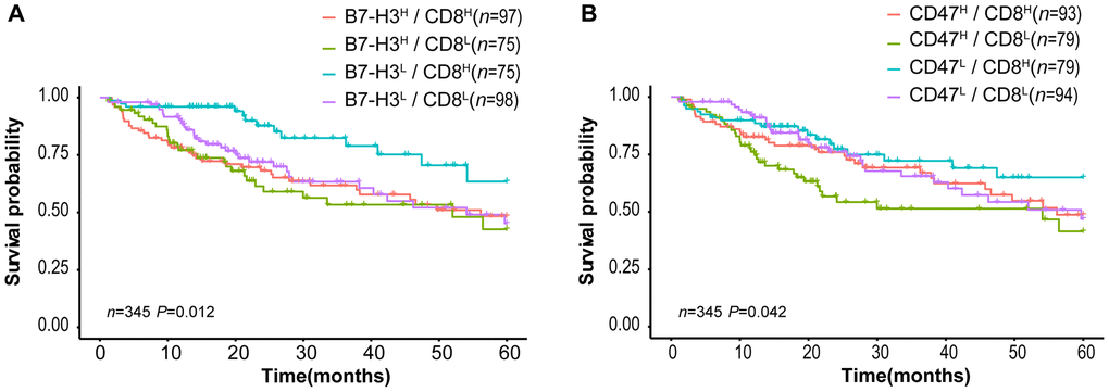 Survival curves of HCC patients stratified by combined CD8 expression and B7-H3 or CD47 expression in TCGA-LIHC cohort. (A) Overall survival curves of HCC patients stratified by the combined expressions of B7-H3 (CD276) and CD8: the survival of patients with B7-H3low/CD8high is significantly better than that of those with B7-H3high/CD8high (P = 0.004), B7-H3high/CD8low (P = 0.001) or B7-H3low/CD8low (P = 0.012) and no significance between other groups. (B) Survival curves of HCC patients stratified by the combined expressions of CD47 and CD8: the survival of patients with CD47high/CD8low is significantly worse than that of those with CD47low/CD8high (P = 0.008) or CD47low/CD8low (P = 0.045), and no significance between other groups (log rank test). H represents high and L represents low respectively.