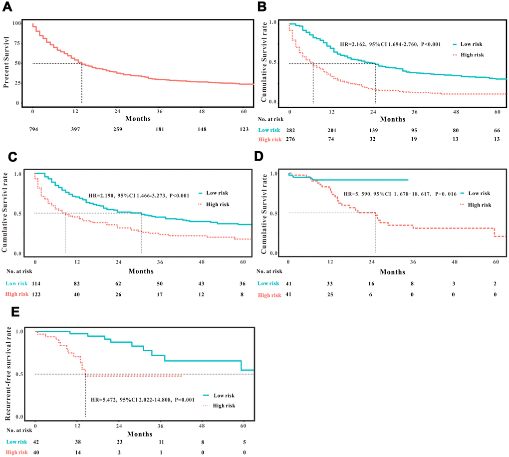 Analysis of the prognostic significance of the nomogram in EODGC patients. Kaplan–Meier curves of all-cause mortality for (A) all EODGC patients in the SEER database; (B) patients stratified by the mean point predicted by the nomograms in training cohort; (C) patients stratified by the mean point predicted by the nomograms in the internal validation cohort; (D) patients stratified by the mean point predicted by the nomograms in the RMHWHU validation cohort; and (E) Kaplan–Meier curve of recurrent-free survival for EODGC patients stratified by the mean point predicted by the survival nomograms in the RMHWHU validation cohort.