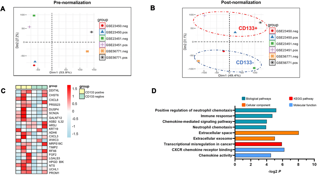 PCA analysis of three RNA sequencing datasets compared to the differential gene expression between CD133+ liver CSCs and CD133- differentiated counterparts. (A) Data representing the clustering information of independent samples. The analysis was based on the expression of all genes for each individual sample. (B) Data representing the clustering information of independent samples after removing batch effects. The ellipses indicate group dispersion/variability from the centroid. CD133-positive groups are shown in the red ellipse, and CD133-negative groups are displayed in the blue ellipse. Two main components (PCA1/PCA2) of PCA were applied to the normalized differences to find the largest correlated variables. (C) Hierarchical cluster heatmap analysis of gene expression profiles in CD133+ liver CSCs vs. CD133- liver CSCs. Each cell in the matrix represents a particular expression level, where the colors (white/green to pink/red) indicate lower to higher gene expression levels. The bars at the top of each column indicate the following: Yellow=CD133-positive group; green = CD133-negative group. At the bottom, from left to right, each column represents the sample name of the GEO dataset. (D) Pathway enrichment analysis of CD133+ liver CSCs. P values (–log2 transformed) are plotted for each enriched functional category. Abbreviations: PCA: principal component analysis; CD133+, CD133-positive groups; CD133-, CD133-negative groups.