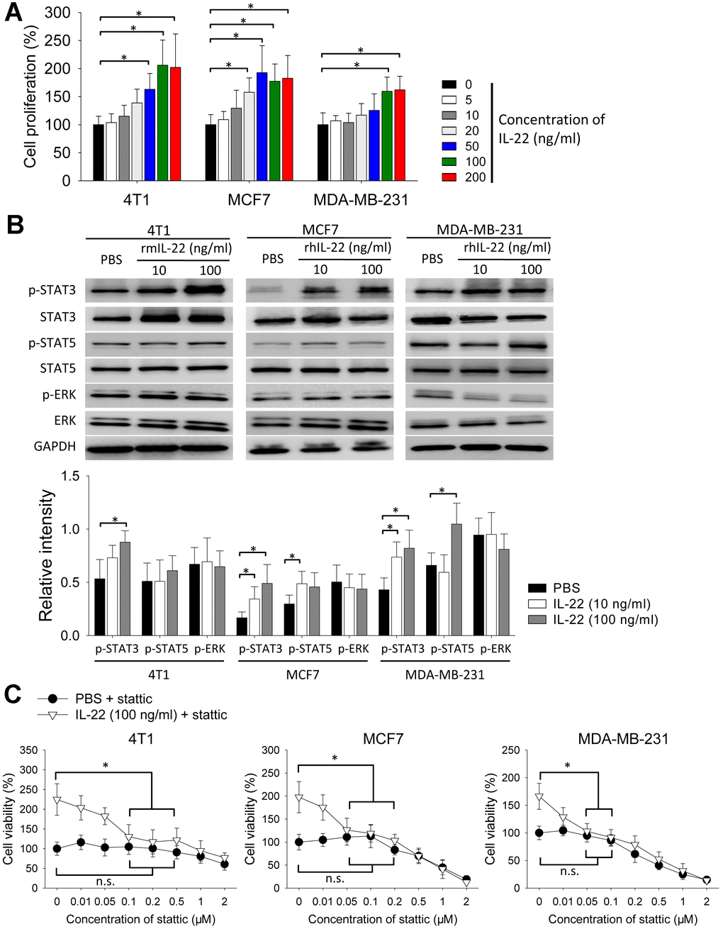 IL-22 stimulates proliferation of breast cancer cells in vitro. (A, B) 4T1, MCF7 and MDA-MB-231 cells were cultured with different doses of rhIL-22 or rmIL-22 for 24 h. Cells cultured without IL-22 were used as control. (A) Cell proliferation was measured with CCK-8 assay (n=6). *, p B) Western blot was applied to analyze levels of indicated proteins. Experiment was repeated twice. Intensities of phospho-proteins were analyzed using ImageJ software, and were normalized to relative total proteins. *, p C) 4T1, MCF7 and MDA-MB-231 cells were cultured with IL-22 (100 ng/ml) in the presence of different doses of stattic for 24 h. Cells cultured without stattic were used as control. Cell proliferation was measured with CCK-8 assay (n=6). *, p t test or one-way ANOVA test.