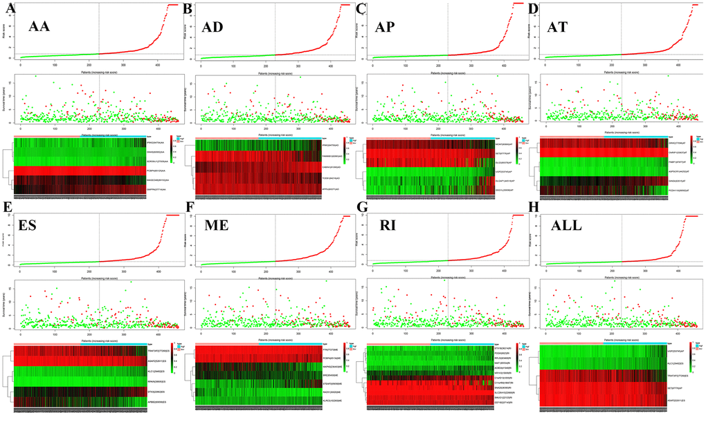 Survival risk assessment of prognosis-related AS events. The distribution of survival time, status and risk score in low- and high-risk groups were shown in all types of AS events, (A) AA, (B) AD, (C) AP, (D) AT, (E) ES, (F) ME, (G) RI and (H) all types of AS events.