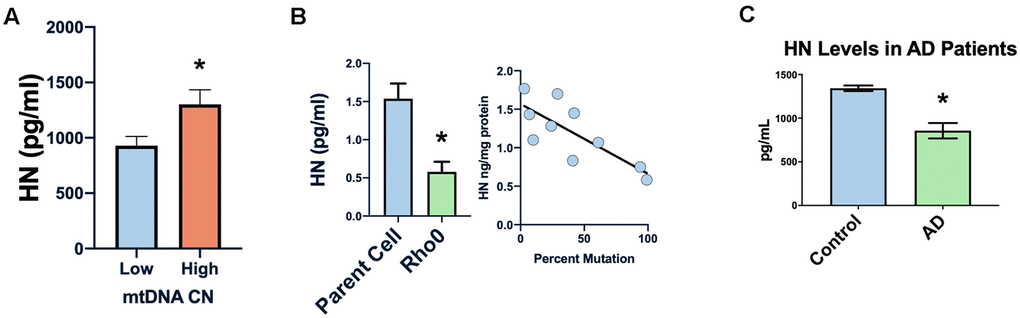 Humanin levels are related to human mitochondrial health. Low mtDNA copy number is associated with lower levels of humanin (A). Increased mtDNA mutation or absence of mtDNA (rho0 cells) is associated with decreased levels of humanin (B). Humanin levels are also decreased in the CSF of Alzheimer’s diseases patients (n=4) compared to control (n=3) (C) *indicates p