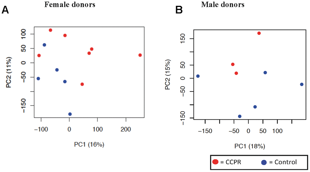Principal component analysis of kidney tissue in female and male donors. (A) Unbiased principal component analysis (PCA) of all female donors showed the most variation of genes on the principal component (PC) axis 1 and some clustering of the two intervention groups is shown. (B) The PCA of the male donors was based on only three kidneys in the PCR group, and showed little variation on PC axis 2. Principal component (PC) 1 is depicted on the x-axis and PC2 is depicted on the y-axis, followed by the percentage of variance explained by each axis. Each symbol represents one sample of one donor. Samples of the same group are shown in the same color. PCR = protein and caloric dietary restriction.