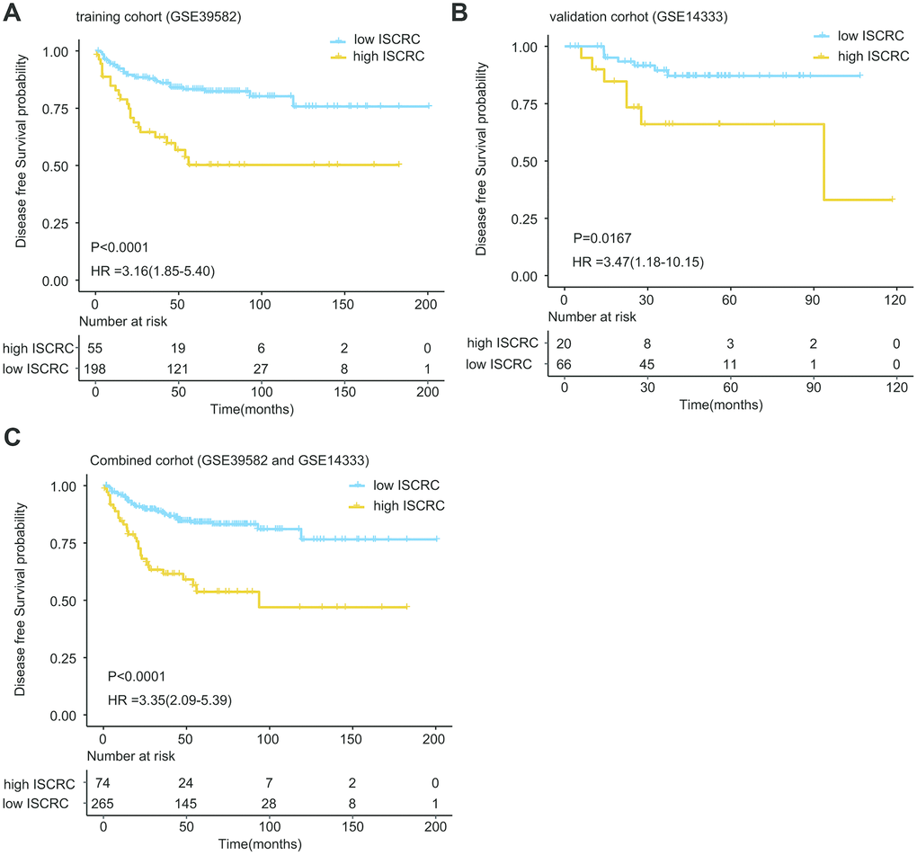 Kaplan-Meier estimates of the patients’ DFS using the ISCRC model. The Kaplan-Meier plots were used to visualize the patients’ recurrence probabilities for the low-ISCRC versus high-ISCRC group of patients from corresponding GEO datasets. (A) Kaplan-Meier curves for training dataset GSE39582 (N=253); (B) Kaplan-Meier curves for GSE14333 (N=86); (C) Kaplan-Meier curves for combined dataset (GSE39582 and GSE14333) (N=339). The tick marks on the Kaplan-Meier curves represent the censored subjects. The differences between the two curves were determined by the two-side log-rank test.