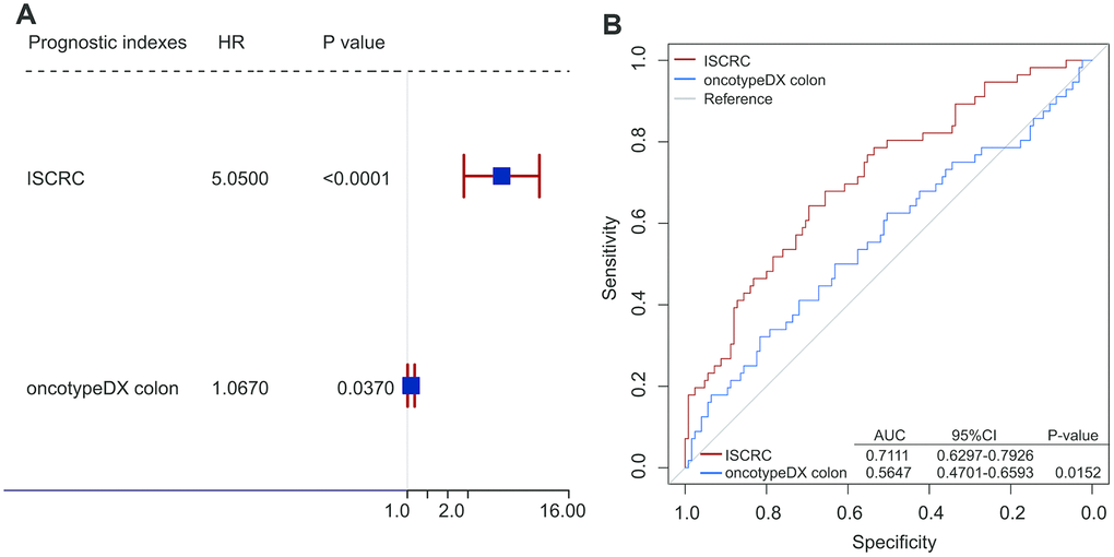 Comparison analyses between ISCRC model and other known gene maker-oncotypeDX colon. (A) Univarible analyses of the ISCRC, and oncotypeDX colon to investigate the association between each prognostic index and DFS using the prognostic indexes as continuous variables in GSE39582. The blue squares on the transverse lines represent the hazard ratio (HR), and the red transverse lines represent 95% CI. (B) Receiver operating characteristic (ROC) analysis of the sensitivity and specificity of the recurrence prediction by the ISCRC model and oncotypeDX colon in GSE14333.