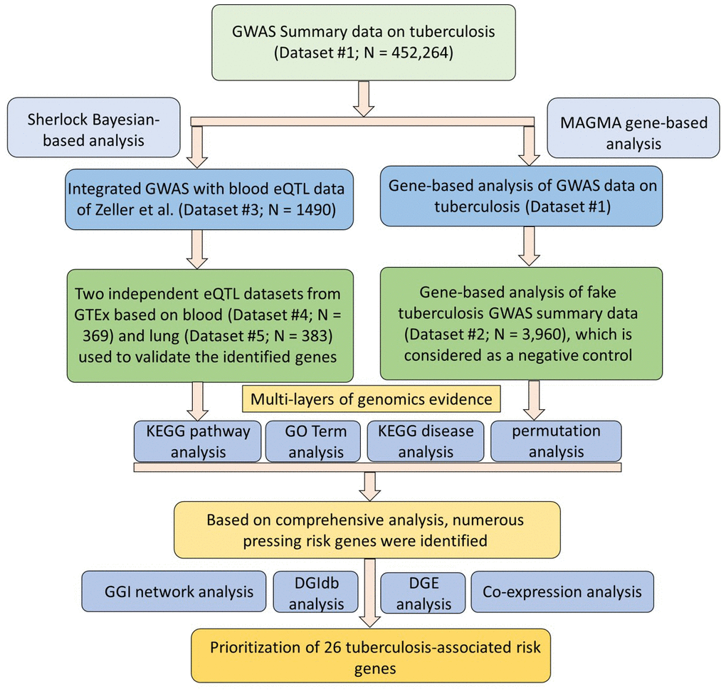 Workflow of current comprehensive genomics analysis.