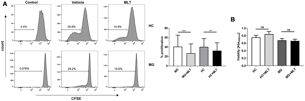 Melatonin significantly decreased the proliferation of CD4+ T cells isolated from either MG patients or HCs but did not alter cell viability. (A) CFSE assay of PHA-stimulated proliferation of melatonin- or vehicle-treated CD4+ T cells. (B) Viability of melatonin-stimulated or unstimulated CD4+ T cells (HC, n=10; MG, n=10). The data are presented as the mean ± SD. ** P ≤ 0.01, *** P ≤ 0.001 and ns=no significance.