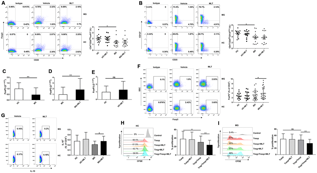Melatonin increased FoxP3 and IL-10 expression and enhanced the suppressive function of Tregs ex vivo. (A) Frequency of CD4+CD25hiFoxP3+ Tregs after melatonin stimulation (HC, n=14; MG, n=14). (B) Frequency of CD4+CD25hiCD127low Tregs (HC, n=14; MG, n=14). (C) Relative expression of FoxP3 in PBMCs from MG patients and HCs (HC, n=14; MG, n=38). The results are representative of three independent experiments. Relative expression of FoxP3 after melatonin treatment in MG patients (D) and HCs (E). (F) FoxP3 expression in CD4+ T cells of MG patients and HCs after melatonin treatment (HC, n=15; MG, n=23). (G) IL-10 expression in CD4+ T cells of MG patients and HCs after melatonin treatment (HC, n=10; MG, n=10). CD4+CD25hiCD127low Tregs and CD4+CD25- Tresps were sorted. Tresps were labeled with CFSE and cocultured with Tregs with or without melatonin in the presence of PHA. Four days later, the percentage of Tresps was determined based on CFSE dilution and FCM. (H) CD4+ T cells enriched from HCs. (I) CD4+ T cells enriched from MG patients (HC, n=10; MG, n=10). The data represent the mean ± SD. * P ≤ 0.05, ** P ≤ 0.01, *** P ≤ 0.001 and ns=no significance.