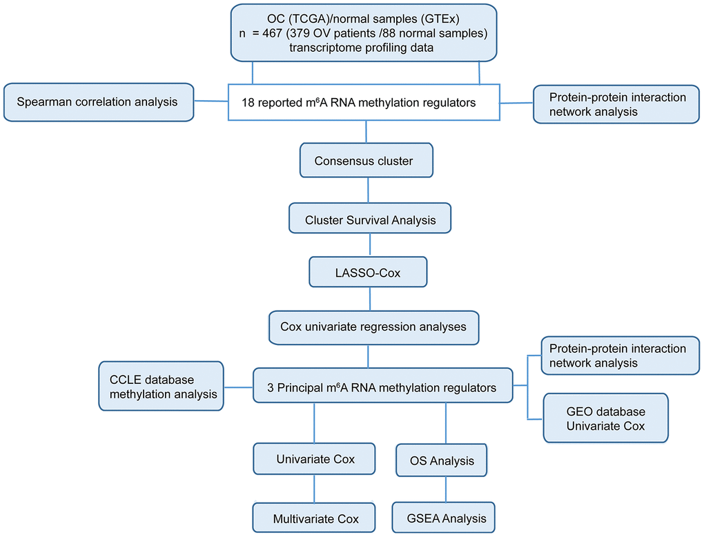 Workflow chart of data generation and analysis. The study mainly incorporated two sections: comprehensive bioinformatics analysis in 18 m6A RNA methylation regulators (including Spearman correlation analysis, protein-protein interaction analysis, consensus cluster analysis, cluster survival analysis and so on) and in the three selected m6A RNA methylation regulators (including CCLE database methylation analysis, protein-protein interaction network analysis, univariate Cox, multivariate Cox and so on).