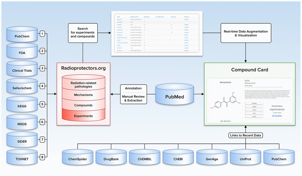 Illustration depicting the content, data sources, and user-directed flow of Radioprotectors.org.