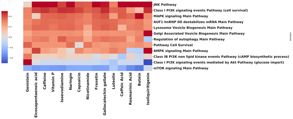 Effect of compounds on autophagy-related pathways.