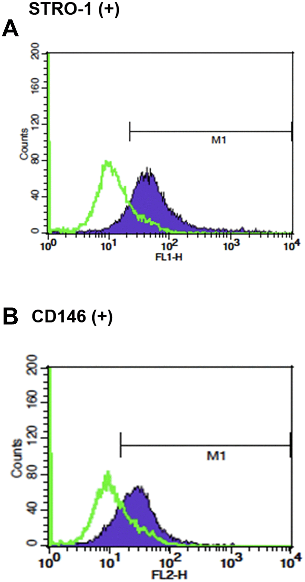 The stem cell characteristics of SHED. (A) Expression of STRO-1 and (B) expression of CD146 in cultured SHED. One representative picture of flow cytometric analysis data was shown.