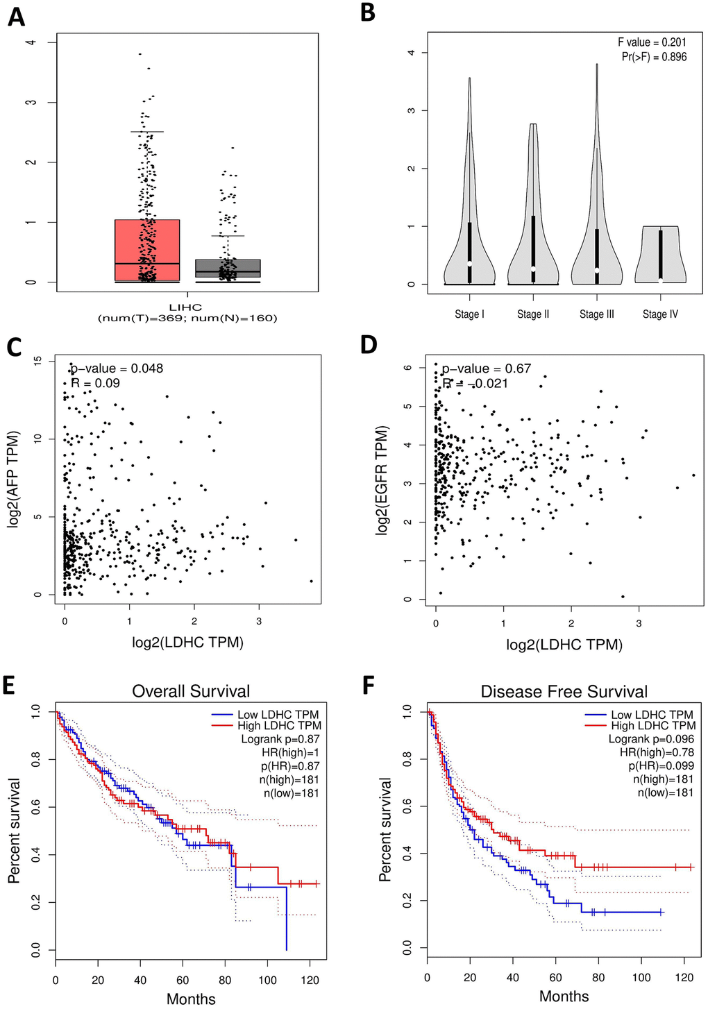 LDHC mRNA expressions in HCC tissues using TCGA data in the GEPIA database. (A) The box plot of LDHC expression in HCC specimens and non-cancerous tissues. (B) LDHC expressions in cases of stages I-IV HCC. (C) LDHC expressions were positively correlated with AFP levels in HCC tissues. (D) LDHC levels were not correlated with EGFR expressions in HCC tissues. LDHC expressions were not correlated with the (E) OS and (F) DFS of HCC patients.