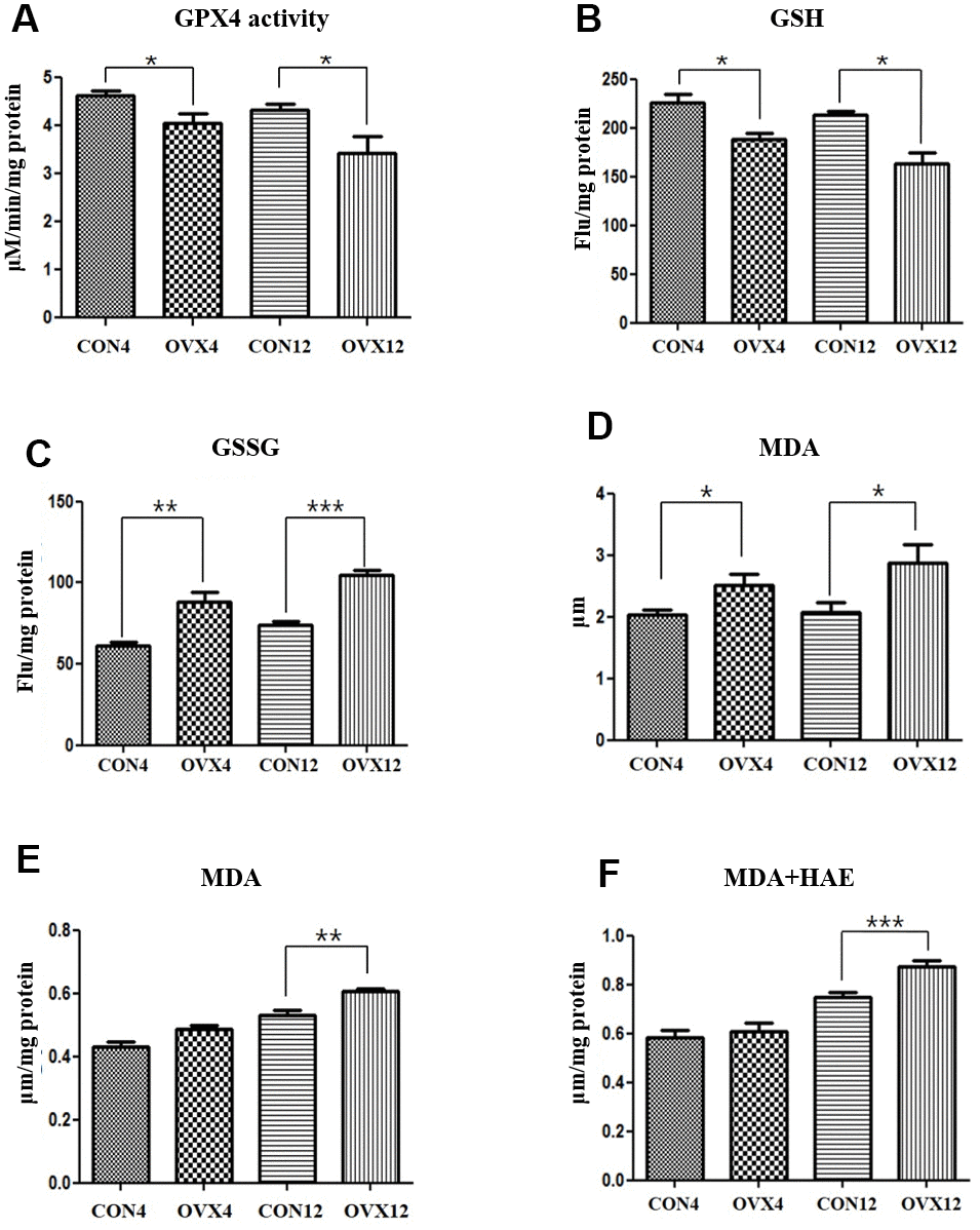 Lipid peroxidation. (A–C) GPX activity (A), GSH level (B) and GSSH level (C) in the CON and OVX groups. (D) MDA concentration in the serum in the CON and OVX groups. (E) MDA concentration in the submandibular gland tissue in the CON and OVX groups. (F) MDA and HAE concentration in the submandibular gland tissue in the CON and OVX groups. Two-way ANOVA test. *ppp