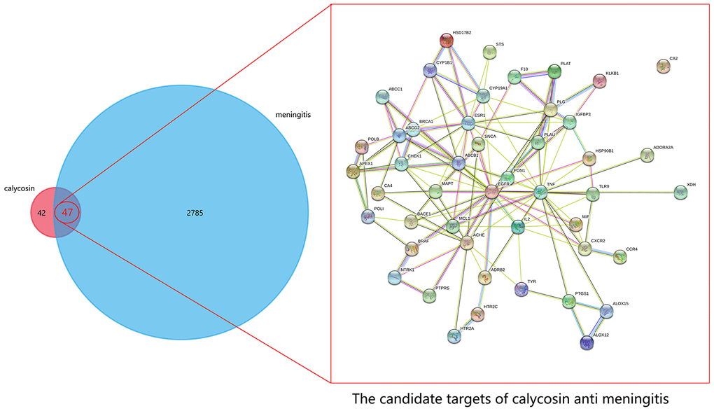 All genes of calycosin and meningitis were screened and identified prior to further identification of the mapping targets of calycosin-anti-meningitis.