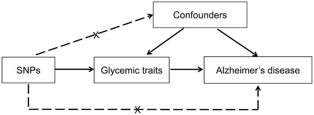 Conceptual framework for the Mendelian randomization analysis of glycemic traits and risk of Alzheimer’s disease. The design assumed that the genetic variants are associated with glycemic traits, but not with confounders, and the genetic variants are associated with risk of Alzheimer’s disease only through glycemic traits. SNP, single nucleotide polymorphism.
