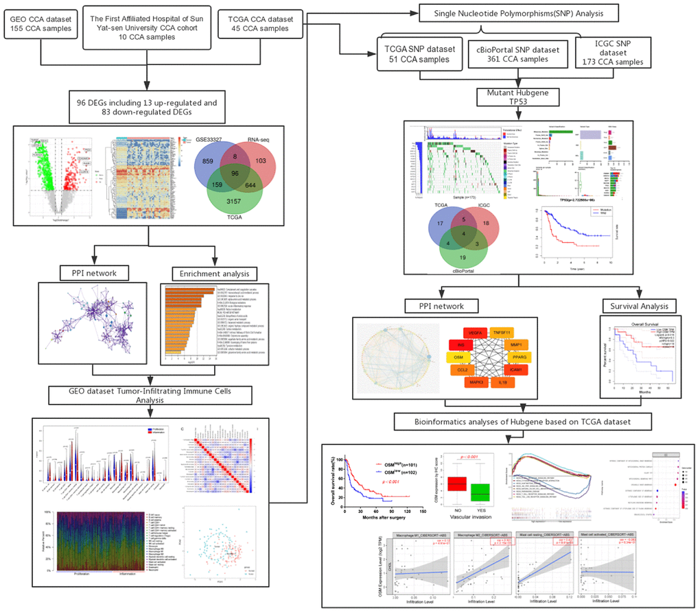 Flow chart of this research.