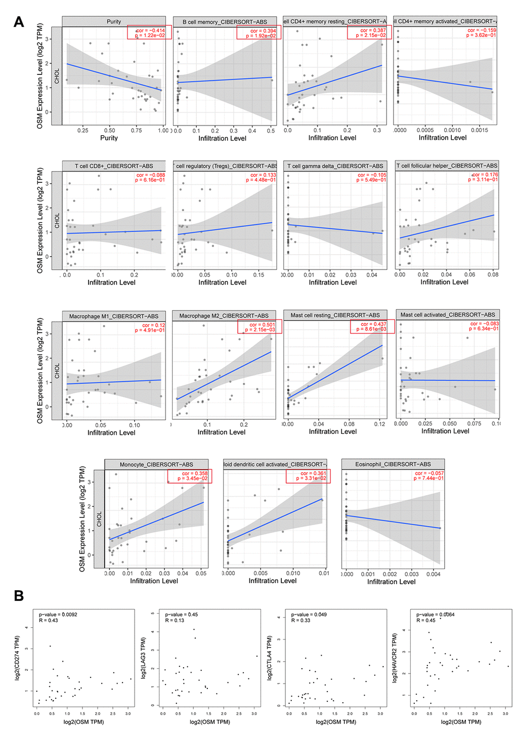 The Correlations of OSM Expression Level and Immune Infiltrating Cells in CCA. (A) The correlations with OSM expression level and the 15 types of immune infiltrating cells which are significant different between proliferation and inflammation groups of CCA; (B) The correlation between OSM expression and four immune checkpoints PD-L1 (CD274), CLTA4, LAG3, HAVCR2.