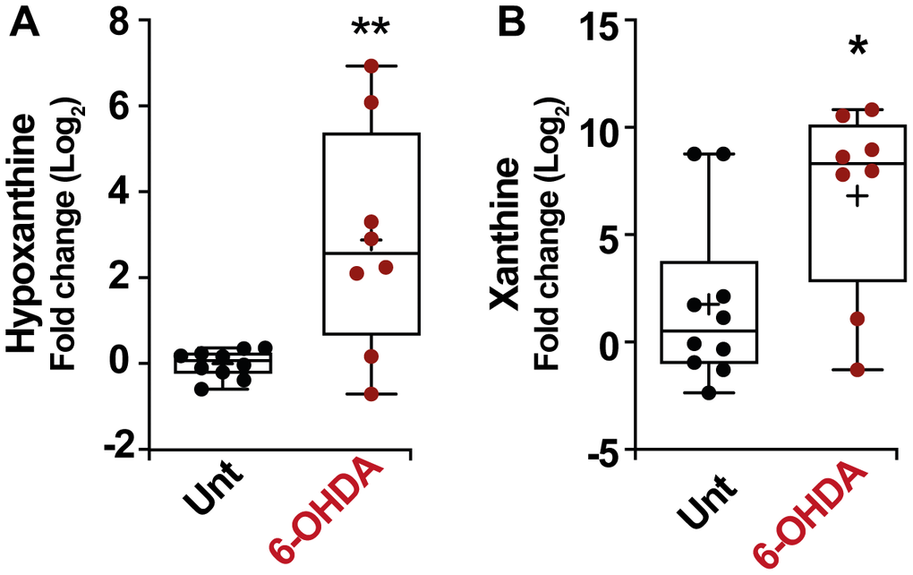 Box and whisker plots and graphs with average ± SEM of fold change (Log2) concentrations of hypoxanthine (A), xanthine (B), in PD-mouse model. Abbreviations: 6-OHDA, 6-hydroxydopamine; Unt, untreated.