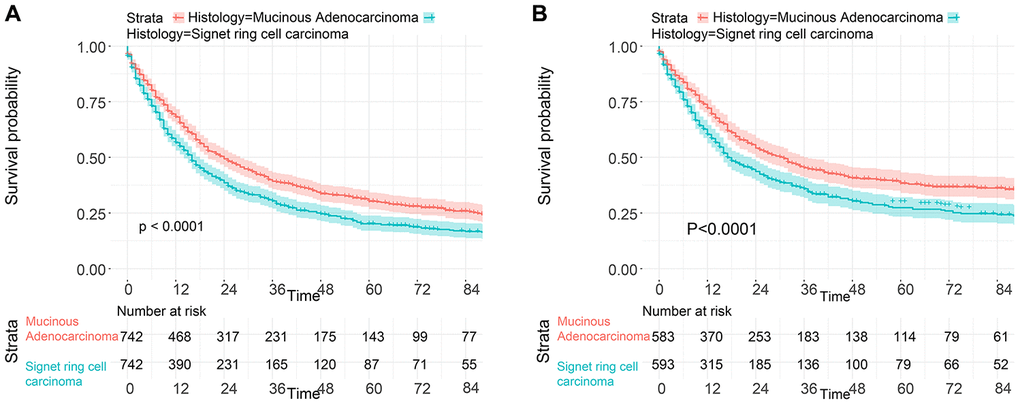 Survival of GC patients from the SEER database with SRC and MGC after PSM. (A) OS of SRC and MGC patients. (B) CSS of SRC and MGC patients.