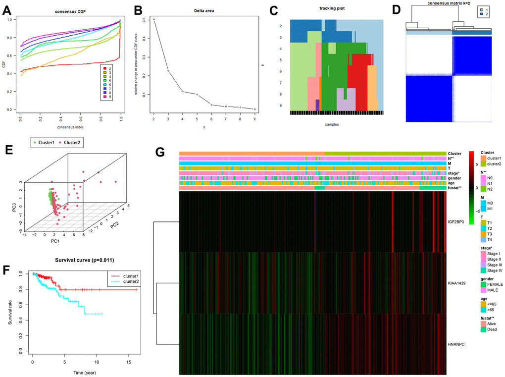 Consensus clustering analysis shows two clusters of KIRP patients with differential prognosis. (A) Cumulative distribution function (CDF) curves for the consensus score (k = 2 to 9). (B) Relative change in area under the CDF curve for k = 2 to 7. (C) The tracking plot for k = 2 to 9. (D) Consensus clustering matrix for the optimal cluster number, k = 2. (E) Principal component analysis shows the gene expression differences between clusters 1 and 2. (F) Kaplan-Meier survival curve analysis shows OS rates in cluster 1 and 2 KIRP patients. As shown, OS is significantly shorter for KIRP patients in cluster 2 compared to those in cluster 1. (G) The heatmap shows the expression of the three prognostic risk-related m6A methylation regulatory genes in cluster 1 and cluster 2 patients that were stratified according to the clinicopathological parameters, namely, survival status (alive or dead), age (>65 y or 