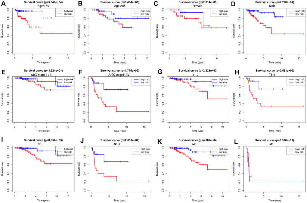 The overall survival rates in high- and low-risk KIRP patients stratified by clinicopathological parameters. Kaplan-Meier survival curve analysis shows the OS rates of high-and low-risk KIRP patients stratified by (A, B) age ≤ 65 and > 65, (C, D) male and female, (E, F) AJCC stages I/II and III/IV), (G, H) T1-2 and T3-4 stages, (I, J) N0 and N1-2 stages, and (K–L) M0 and M1 stages.
