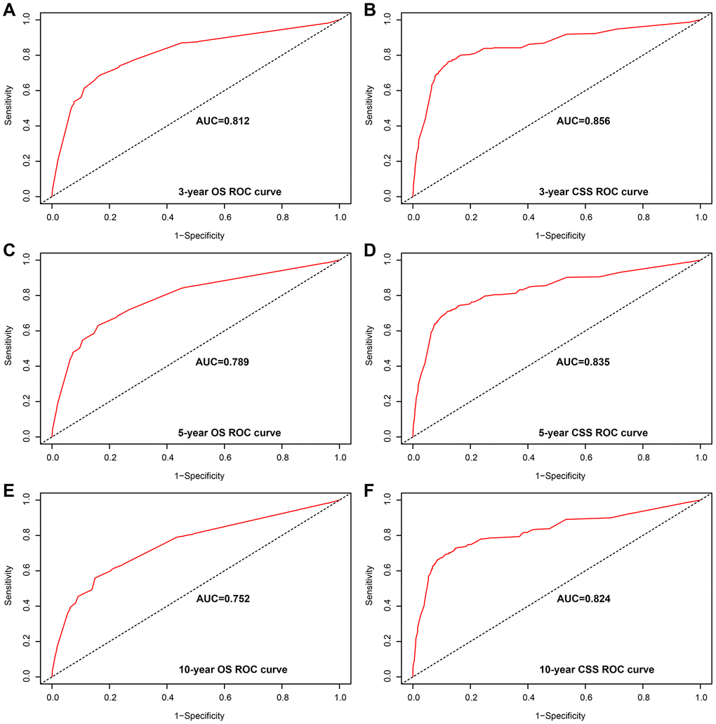 Area under the curve (AUC) value of the receiver operating characteristic (ROC) predicting in the training cohort. (A) 3-year overall survival (OS) rates. (B) 3-year cancer-specific survival (CSS) rates. (C) 5-year OS rates. (D) 5-year CSS rates. (E) 10-year OS rates. (F) 10-year CSS rates.