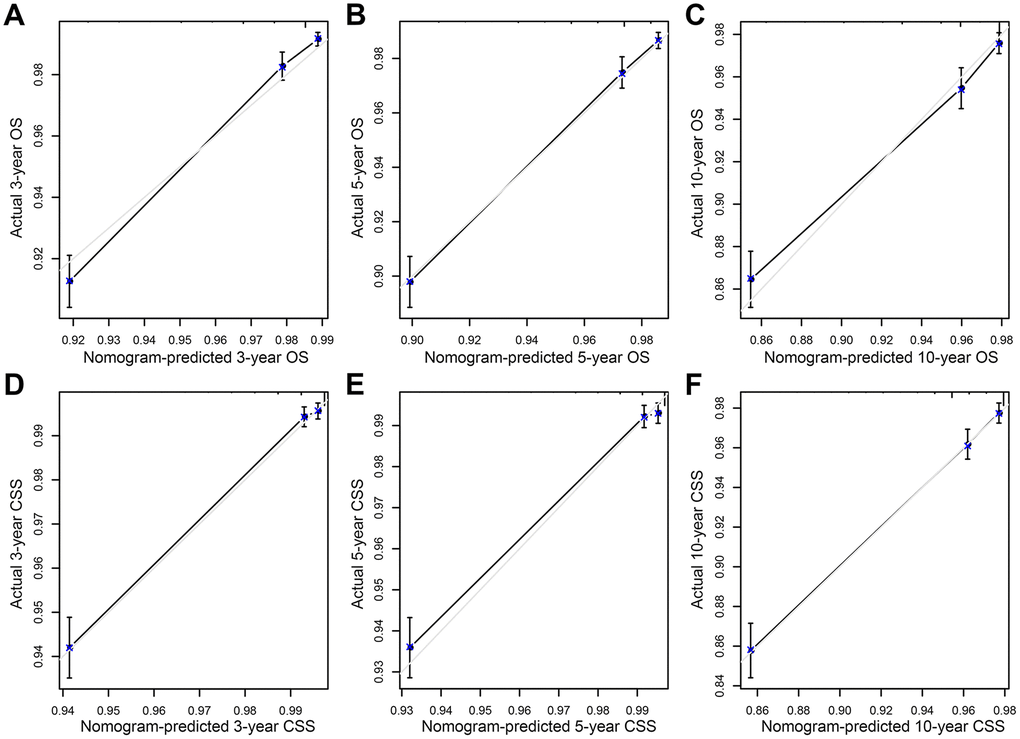 Calibration plot of the nomogram for predicting 3-, 5-, and 10-year overall survival (OS) and cancer-specific survival (CSS) in training cohort. (A) 3-year OS; (B) 5-year OS; (C) 10-year OS; (D) 3-year CSS; (E) 5-year CSS; (F) 10-year CSS.