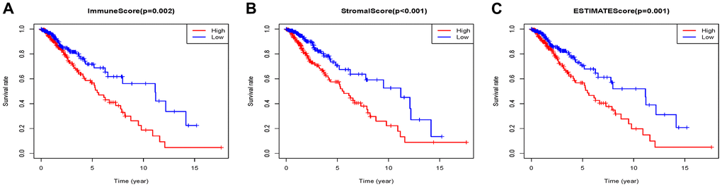 Associations of immune (A), stromal (B), and ESTIMATE (C) scores on overall survival in Grade II/III gliomas.