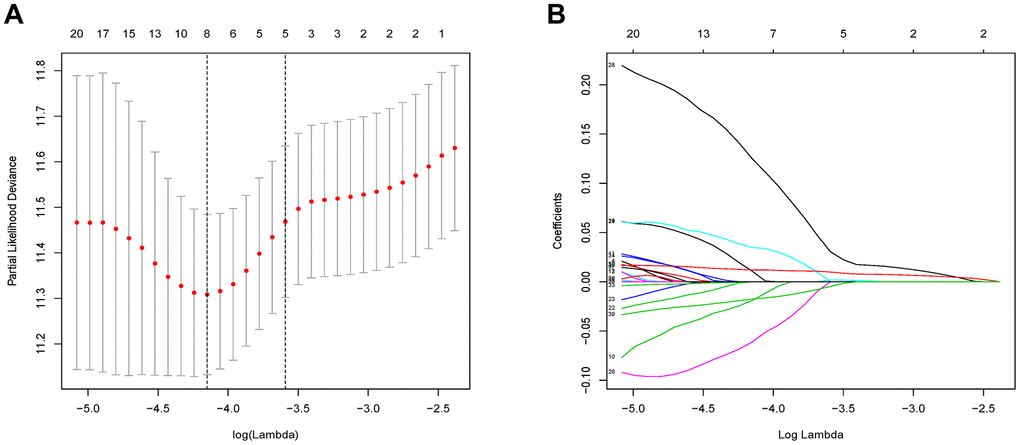 Flow chart and 10-fold cross-validation for tuning parameter selection. (A) 10-fold cross-validation for tuning parameter selection in the Lasso model. (B) LASSO coefficient profiles of the 46 prognostic genes. A vertical line is drawn at the value chosen by 10-fold cross-validation.