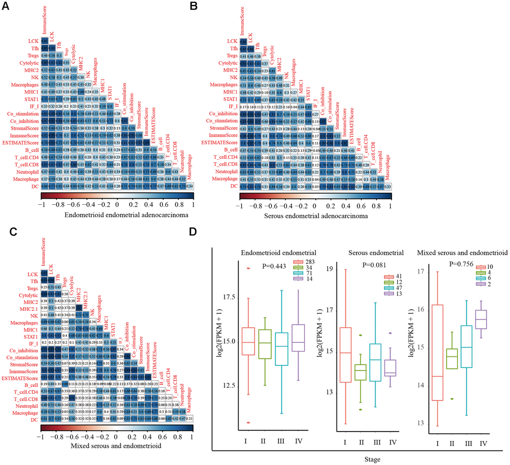 Correlations between different immune scores in patients with different endometrial cancer subtypes. (A) Positive correlation between LCK metagene score and other types of immune-related scores in endometrioid endometrial adenocarcinoma (cor = 0.84). (B) Serous endometrial adenocarcinoma (cor = 0.83). (C) Mixed serous and endometrioid (cor = 0.85). Spearman correlation coefficients are color-coded to indicate positive (blue) or negative (red) associations. (D) LCK metagene gene expression scores in patients with endometrial cancer at different clinical stages. Data are presented as the mean ± SEM. *P P P 