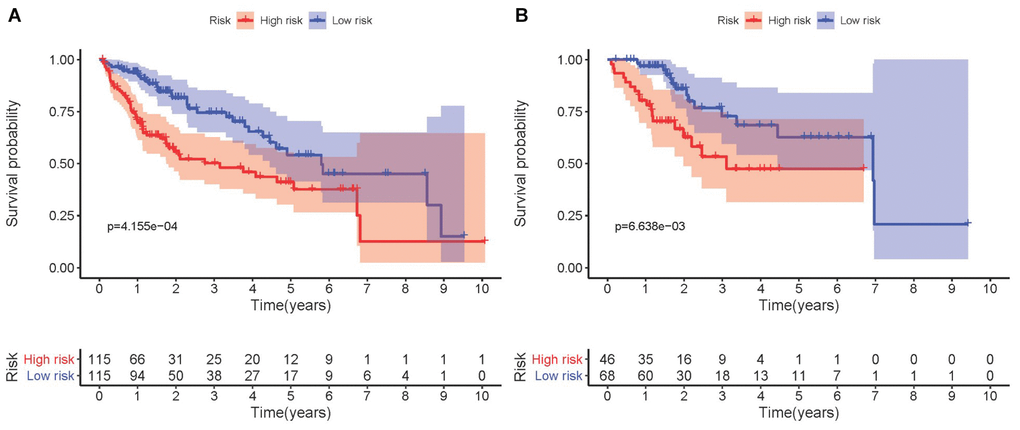 Kaplan-Meier survival analysis involving prognostic metabolic genes in HCC. (A) Kaplan-Meier curve of the training set. (B) Kaplan-Meier curve of the testing set. P-values were 