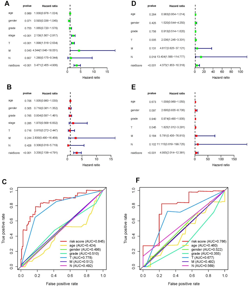 Forrest plot of univariate and multivariate Cox regression analyses, and evaluation of receiver operating curve (ROC) analysis in HCC. Forrest plot of univariate Cox regression analysis of the training set (A) and training set (D). Forrest plot of multivariate Cox regression analysis of the training set (B) and testing set (E). ROC analysis of the training set (C) and training set (F).