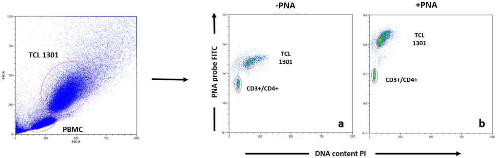 Example of Flow Fish data analysis of T helper subpopulation. Each blood sample was either stained with PNA probe (b) or without (a), following by antibodies staining (CD3, CD4, CD8, CD16, CD19), before data acquisition.