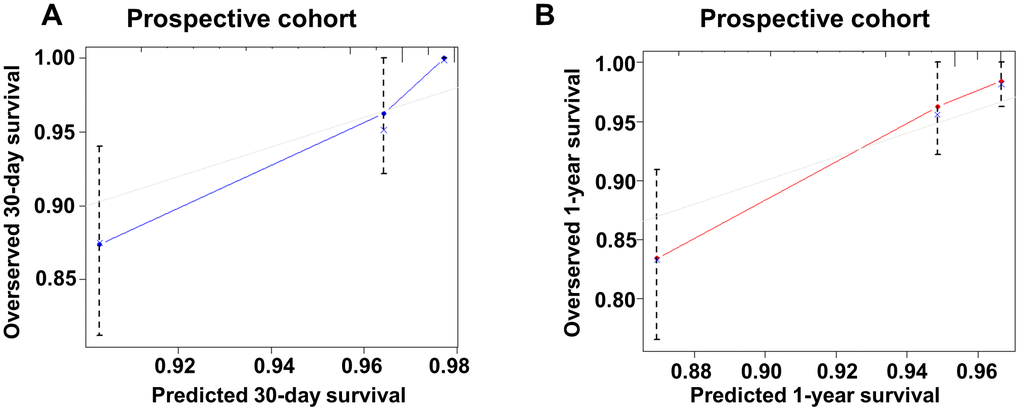 Calibration curve of the new model for predicting 30-day and 1-year mortality in prospective cohort. (A) Calibration curve of the new model for predicting 30-day in prospective group. (B) Calibration curve of the new model for predicting 1-year in prospective group.