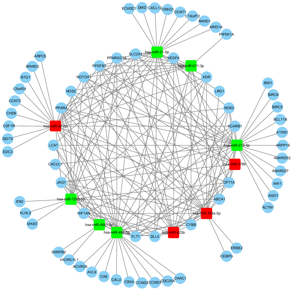 The cross-talk diagram on miRs-gene and gene-gene from top 10 DE exo-miRs. **Using combined score > 0.9 as threshold cutoff, 10 exo-miRs and 65 CTGs were included in the internet. Red color represents the up-regulated exo-miRs; Green color represents the down-regulated exo-miRs.