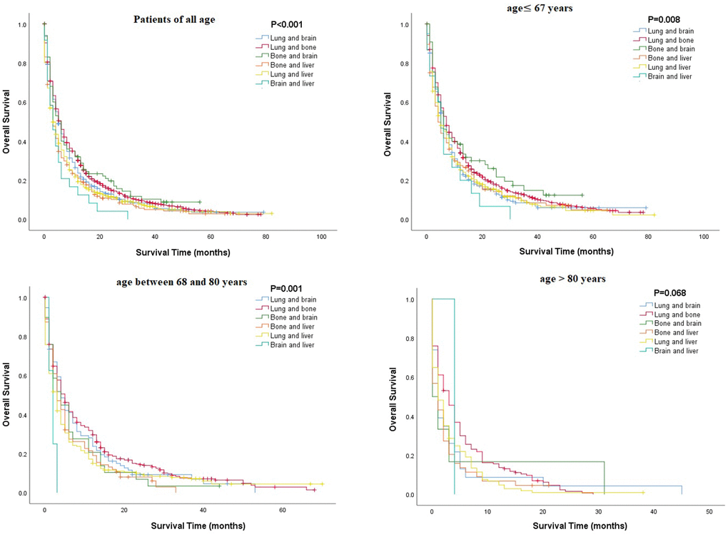 Comparison of overall survival rates among patients with renal cell carcinoma and two metastatic sites in different age groups.