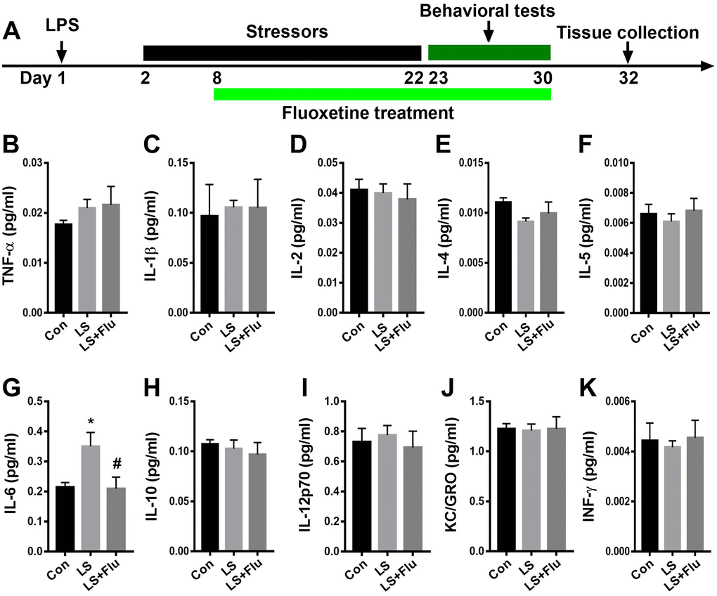 Fluoxetine treatment attenuated IL-6 level after combined stress. (A) Schematic timeline of the experimental procedure. (B–K) Quantification of inflammatory mediators in the hippocampus. Data are shown as mean ± SEM (n = 6), *P #P 