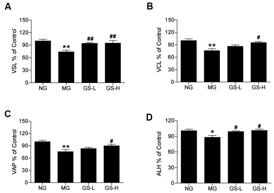 Effects of GSLS on the kinematic parameters of mouse sperm. (A) straight line velocity (VSL); (B) continuous line velocity (VCL), (C) average path velocity (VAP); and (D) amplitude of lateral head displacement (ALH). All data are represented as mean ± SEM (n = 6). *p p #p ##p 