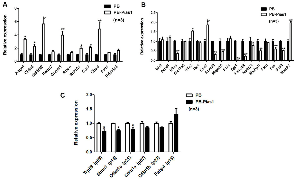 Validation of target gene expression by qRT-PCR. (A) For upregulated DEGs, 11 genes were selected for the following qRT-PCR validation. (B) For downregulated DEGs, 18 genes were selected for the following qRT-PCR validation. (C) The PIAS1 regulation of cell cycle inhibitors, including p15, p18, p21, p27, p53 and p57, was tested by qRT-PCR. Among them, three inhibitors, p53, p18 and p21, were significantly downregulated under the overexpression of Pias1. *p **p 