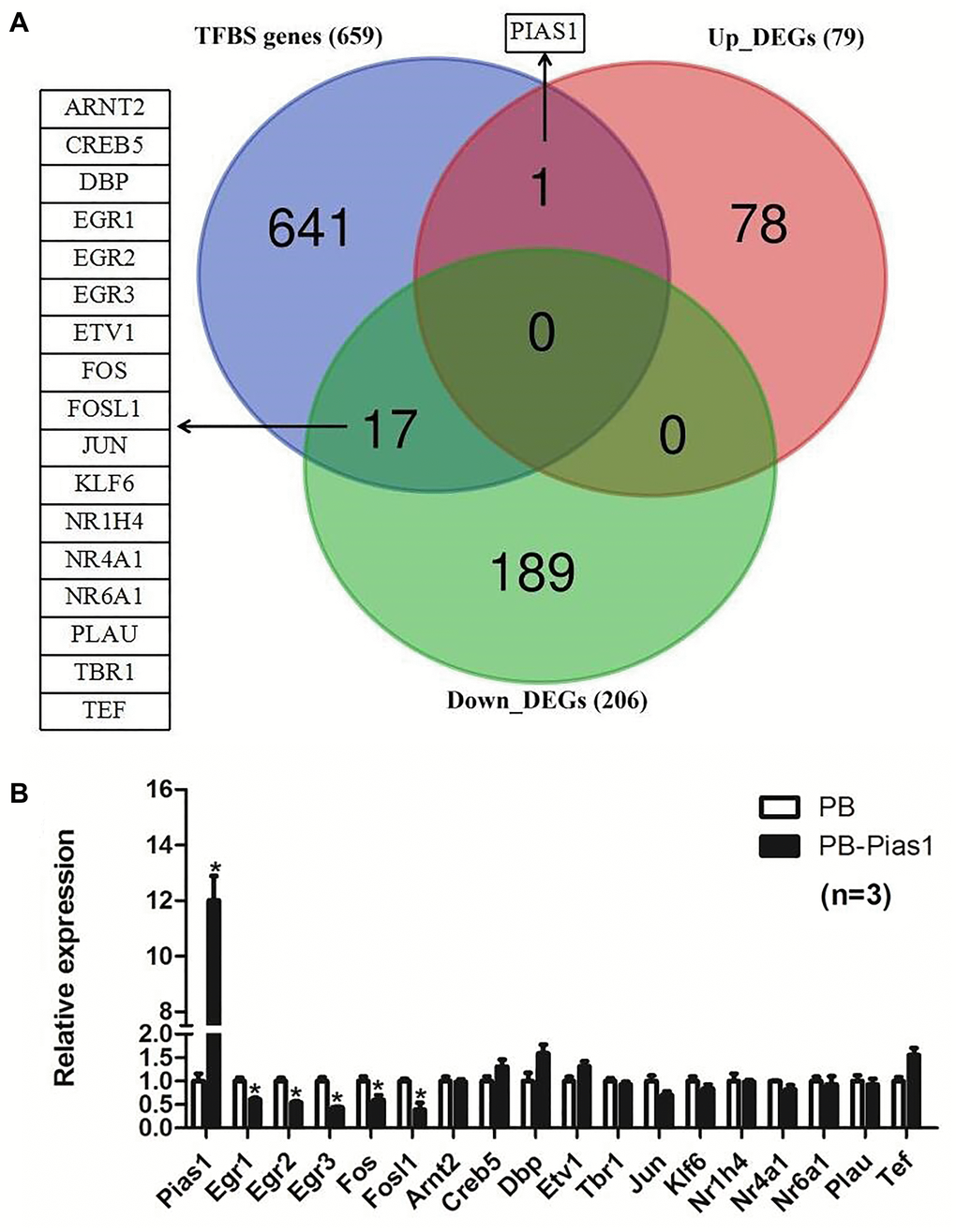 Overlapping targets between transcription factor binding site genes of STAT1 and DEGs of PIAS1. (A) Transcription factor binding site (TFBS) prediction for STAT1 was performed and compared with the differentially expressed genes of RNA-seq results in PIAS1 overexpression cell lines. As a result, 18 overlapping genes, including one upregulated gene PIAS1 and 17 downregulated genes, were identified as the target genes. (B) The regulation of the overlapping genes was evaluated by qPCR. As a result, five genes, including early growth response 1 (Egr1), early growth response 2 (Egr2), early growth response 3 (Egr3), FBJ osteosarcoma oncogene (Fos) and fos-like antigen 1 (Fosl1), were significantly downregulated in PIAS1-overexpressing cells.