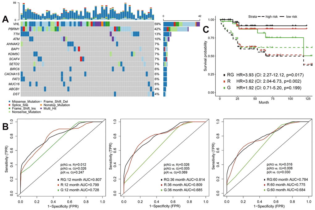 Predictive models of survival integrating radiomics with genomics features. (A) The waterfall plot of 20 most common somatic mutations in training set. (B) The 1-year, 3-year and 5-year area under the ROC of radiomics model (R), genomics model (G) and radiomics+genomics model (RG) in validation set. (C) Kaplan-Meier curves showed survival differences between high-risk and low-risk patients of validation set.