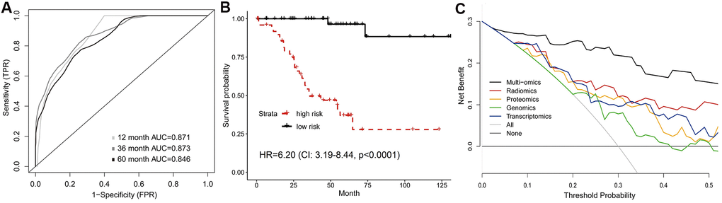 Predictive model of survival integrating multiple omics features. (A) Time-dependent ROC, and (B) Kaplan-Meier curves analyzed by multi-omics model in validation set. (C) Comparison of decision curves of each model. The gray oblique line represented the net benefit of intervention for all patients, while horizontal line represented the net benefit of no intervention. The multi-omics model reached higher net benefit than single-omics models across the major range of threshold probability.