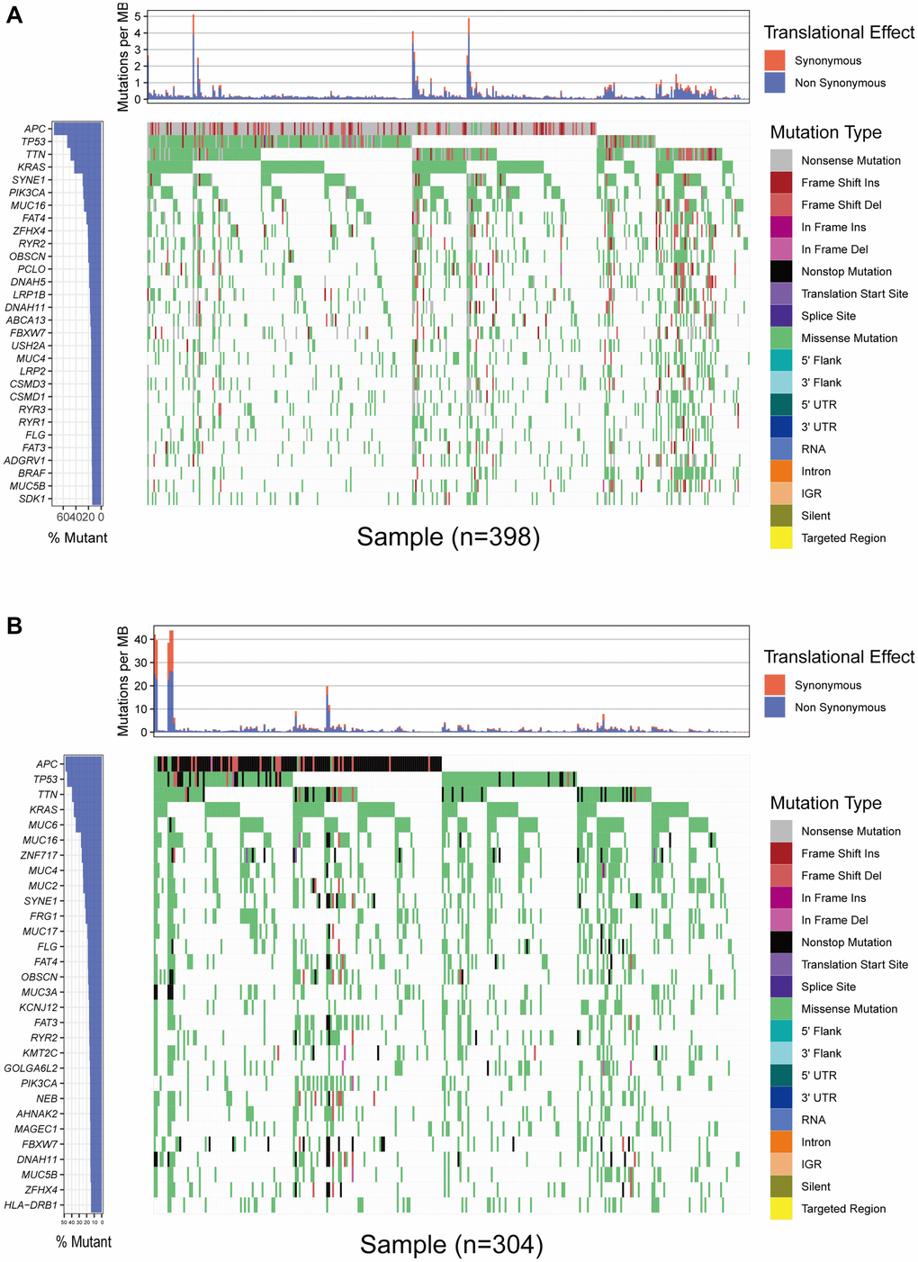 Overview of frequently mutated genes in colon cancer. (A) Waterfall plot shows the frequently mutated genes in colon cancer from TCGA database. The left panel shows mutation frequency, and genes are ordered by their mutation frequencies. The right panel presents different mutation types. (B) Waterfall plot displaying the frequently mutated genes in colon cancer from the ICGC cohort. The left panel shows the genes ordered by their mutation frequencies. The right panel presents different mutation types.